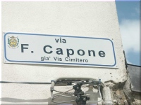 PICT9491, Capone Street .jpg (17.3K)